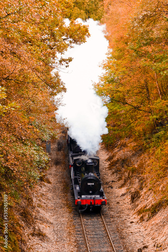 Steam train in autumn 