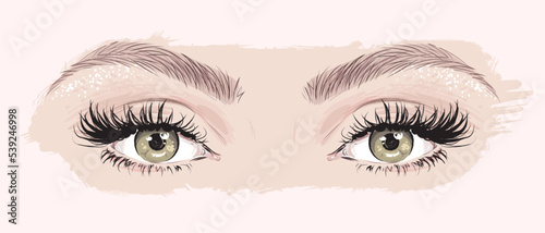 Hand drawn beautiful female eyes with long black eyelashes and brows isolated on background. Vector illustration