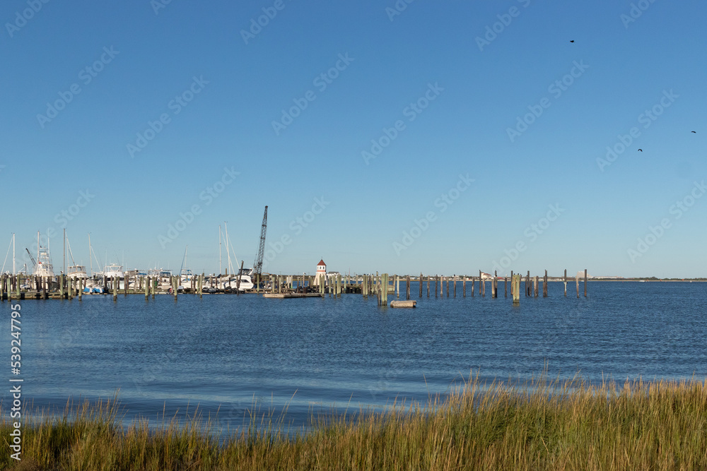 This is the shoreline of Cape May New Jersey right outside of the Lobster House in the parking lot. The water here seems so calm. I love the beautiful blue sky here and the pretty colors of the land.