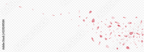 Pink Apple Vector Panoramic Transparent