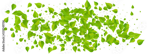 Grassy Leaves Motion Vector Panoramic White