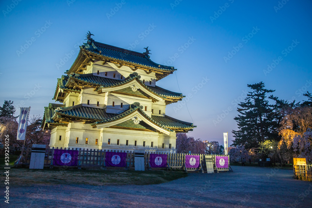 Fototapeta premium 青森県 弘前城桜祭り・ライトアップ 