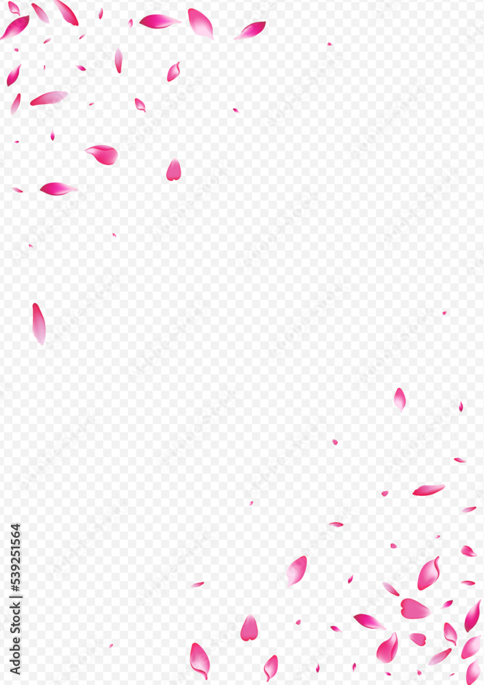 Pink Blooming Vector Transparent Background. Leaf