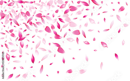 Purple Apple Petal Vector White Background. White