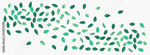 Grassy Foliage Nature Vector Panoramic