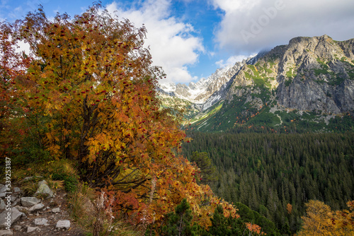Autumn view of the High Tatras. Popradske Pleso area. Slovakia.