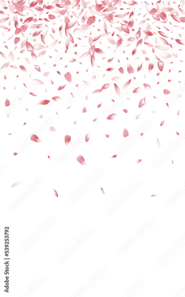 Pink Flower Petal Vector White Background. Pastel
