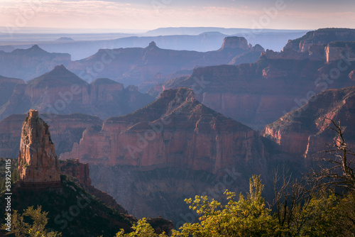 Grand Canyon north rim silhouette at golden sunset, Arizona, USA