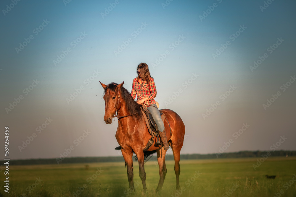 Young beautiful dark-haired girl on a horse. There is artistic noise. Young beautiful dark-haired girl on a horse. There is artistic noise.