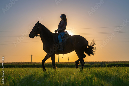 Young beautiful dark-haired girl on a horse. There is artistic noise. © shymar27