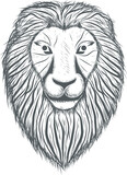 Lion head with hand stroked vector design, premium!
