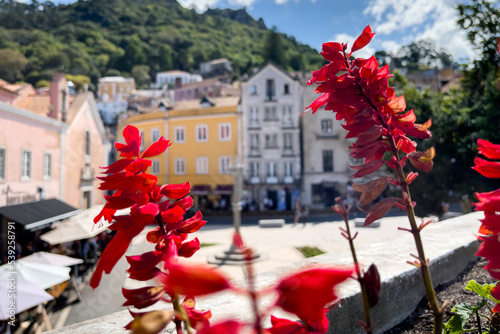 Tourists hanging out at Praca Da Republica in Sintra photo