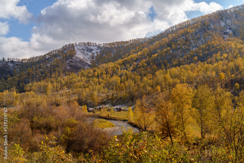 Golden Autumn in Siberia, forest and North Chui Ridge in Altai Republic, Russia. © larisa_stock