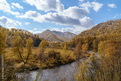 Golden Autumn in Siberia, forest and small mountain river, Altai Republic, Russia.