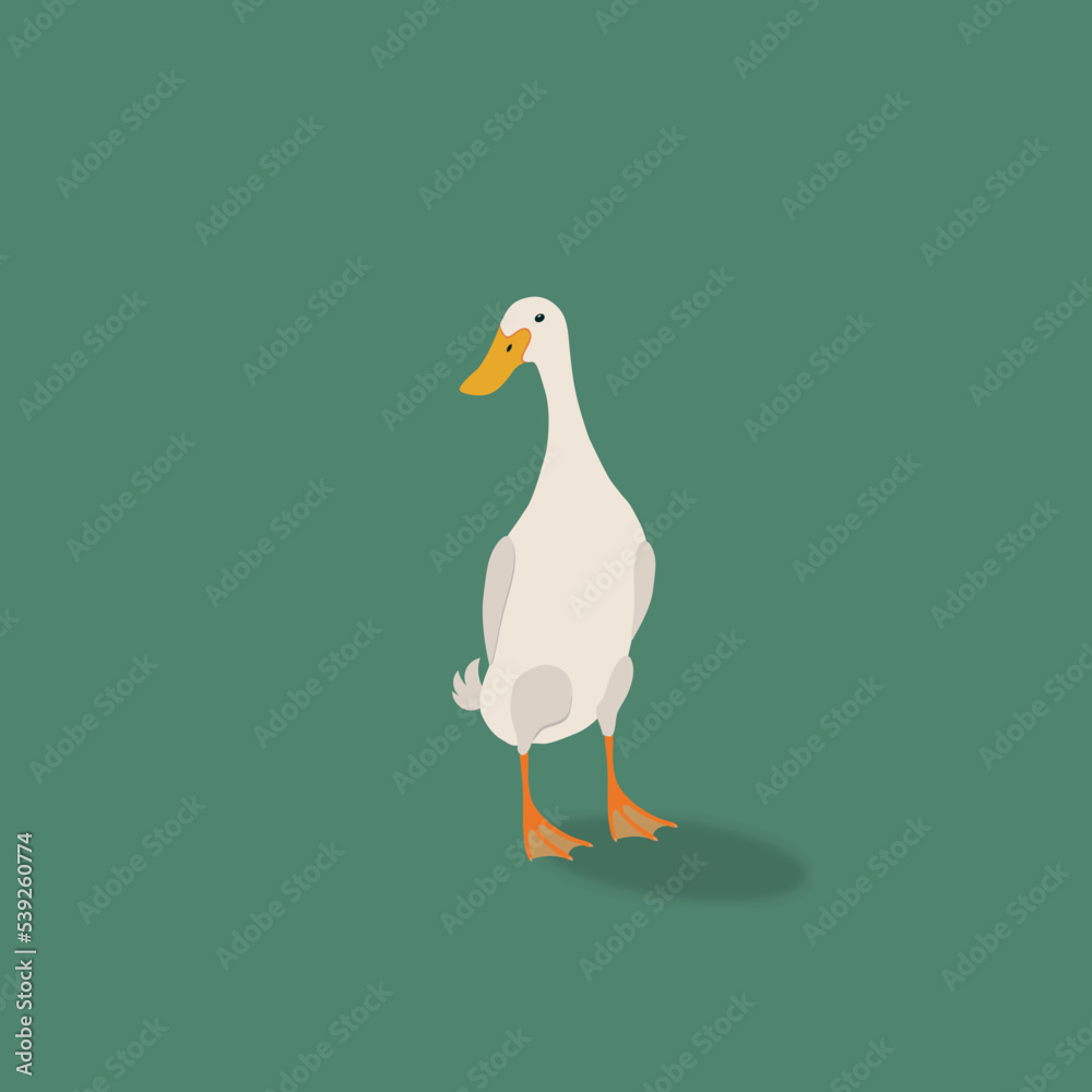 A cartoon looking duck A cartoon looking duck