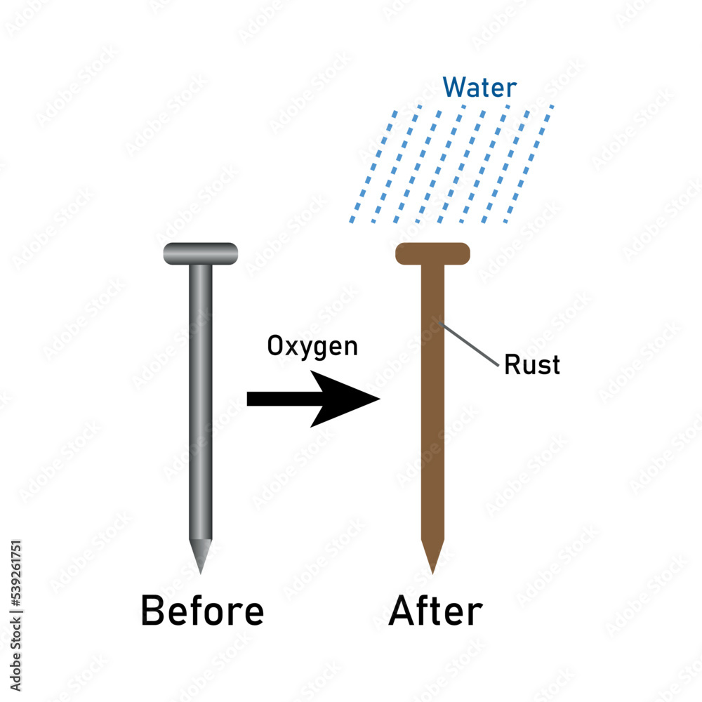 Rusting of iron nail experiment diagram. Vector illustration isolated
