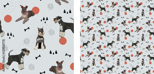 Seamless dog pattern, winter Christmas texture. Square format, t-shirt, poster, packaging, textile, socks, textile, fabric, decoration, wrapping paper. Trendy hand-drawn Miniature Schnauzer dog breed.