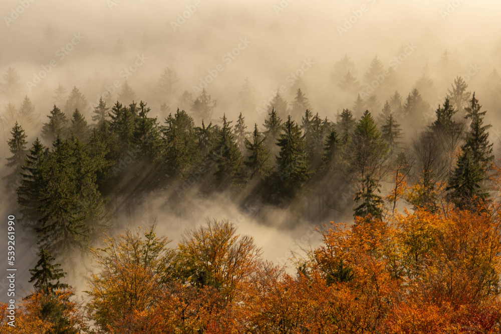 Autumn colors surrounded by mountains  - obrazy, fototapety, plakaty 
