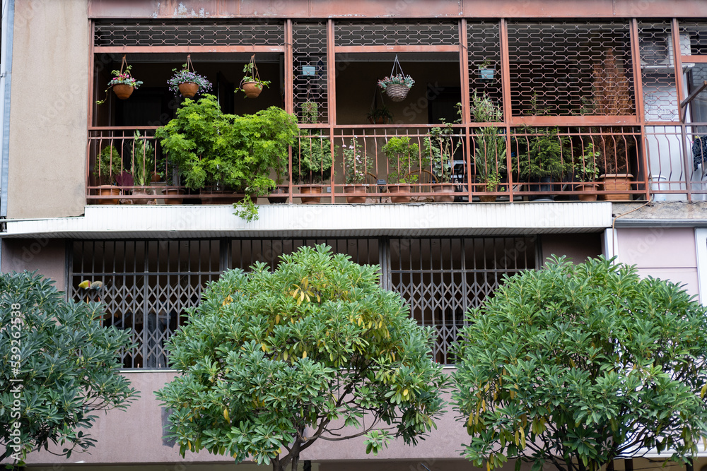Fototapeta premium A balcony with plants in Batumi, Georgia, flower pots hung from the ceiling, a wooden balcony, building concept idea photo.
