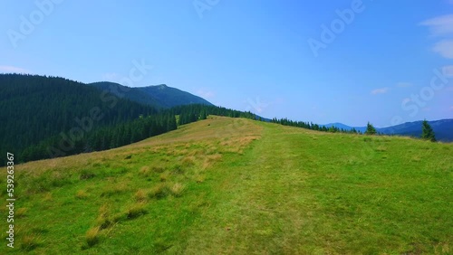 Hike to the Mount Synyak through the mountain meadow Polonyna Khomyak, Bukovel, Carpathians, Ukraine photo