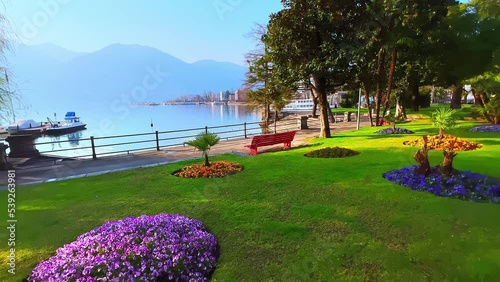 Petunia and pansy flower beds in park of Lake Maggiore, Locarno, Switzerland photo