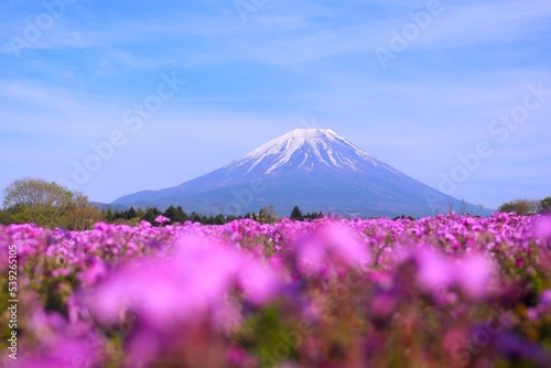 Mount Fuji © Chanel