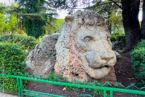 The Lion statue in Ifran, Morocco