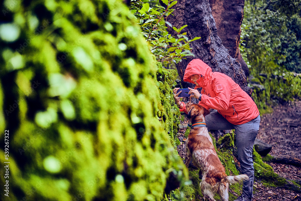 Obraz premium Girl playing with her dog