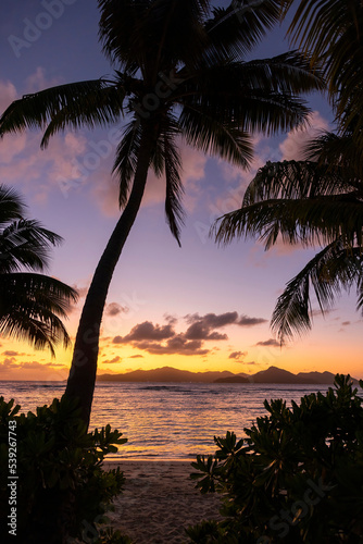 Fototapeta Naklejka Na Ścianę i Meble -  Silhouette of palm trees Beautiful sunset on the tropical sea beach background for travel in holiday relax time,