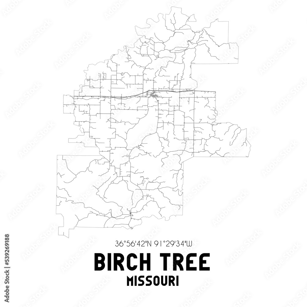 Birch Tree Missouri. US street map with black and white lines.
