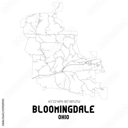 Bloomingdale Ohio. US street map with black and white lines.