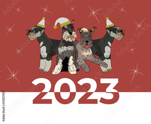 Miniature Schnauzer dog drawing. Cute dog characters in various poses, designs for prints, adorable and cute Christmas dog Mini breed cartoon vector set, in different poses. New year poster.