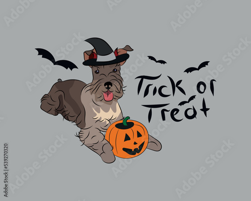 Dog Halloween greeting card with a sitting Miniature Schnauzer dog. Dog in a costume, pumpkin in a paw. Postcard for pet lovers. Pet character postcard art. Funny dog mascot. Witch spooky card.