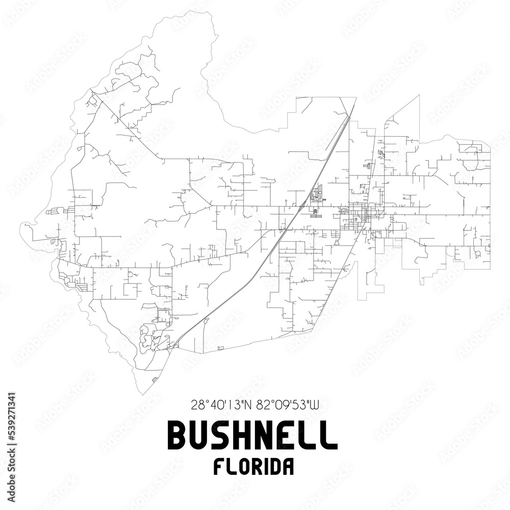 Bushnell Florida. US street map with black and white lines.
