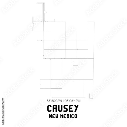 Causey New Mexico. US street map with black and white lines.