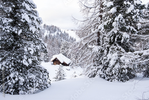 snow covered house © Alois