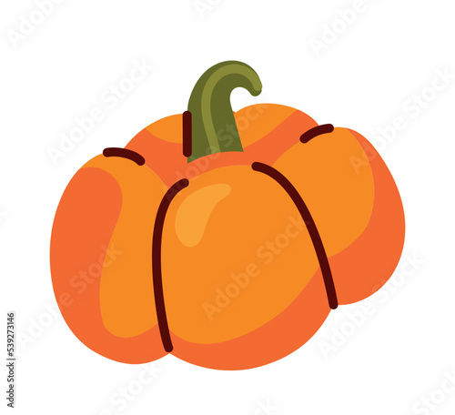 Thanksgiving pumpkin icon. Natural and organic product. Symbol of autumn season. Harvest, agriculture and farming. Poster or banner, graphic element for website. Cartoon flat vector illustration
