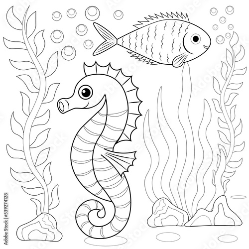 Colouring page, hand drawn, vector. Underwater life 1. Sea horse and fish, simple background, objects isolated on white background.