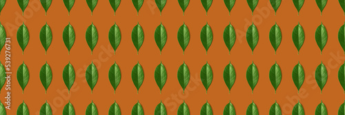 Creative seamless pattern of green leaves on orange background. Creative design in flat lay style. Top view. Mock-up.