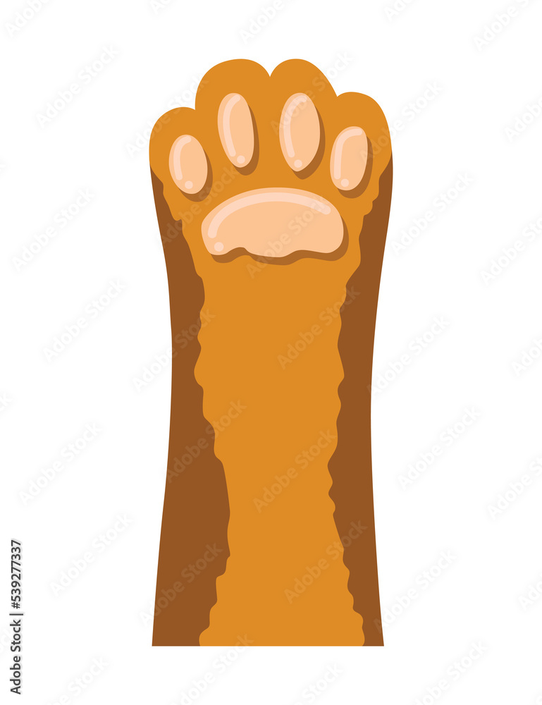 Cat paw. Cute cartoon domestic animal foot isolated on white background. Furry kitten paw. Footprint icon Cat paw. Cute cartoon domestic animal foot isolated on white background. Furry kitten paw. Footprint icon