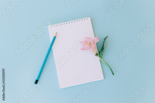 Notebook with blank page, pink flower and pencil on light blue background.