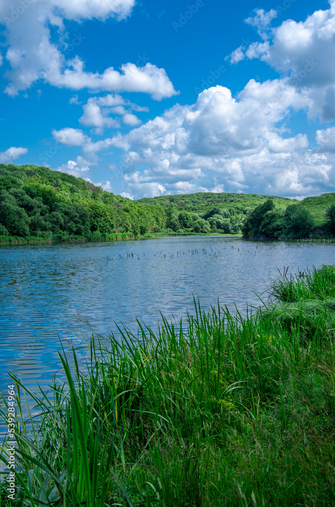 Beautiful summer landscape on the lake, the green grass and blue sky. Beautiful summer landscape on the lake, the green grass and blue sky.