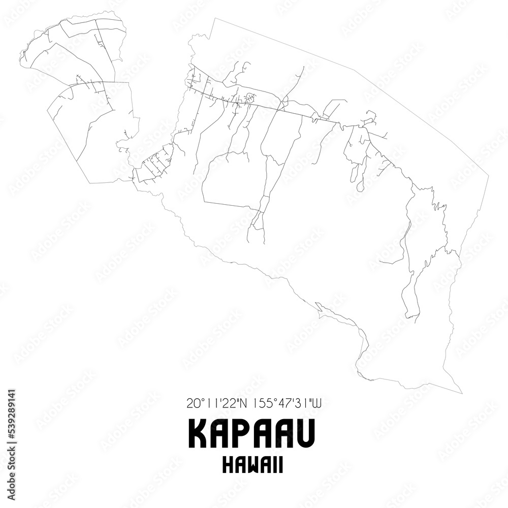 Kapaau Hawaii. US street map with black and white lines.