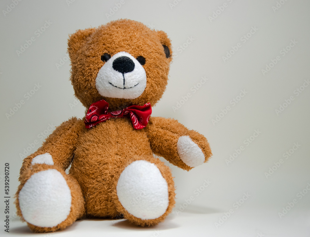 Fototapeta premium pluszowy miś