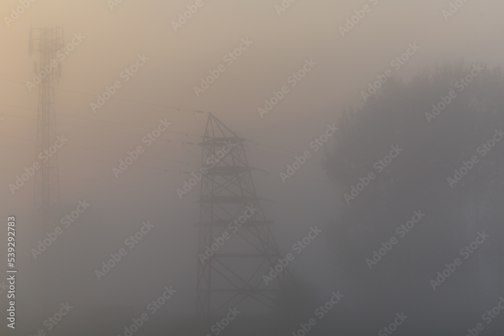 Power lines in the morning fog