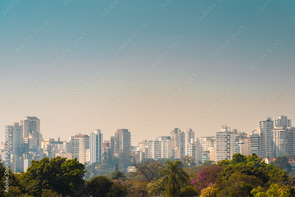 Fototapeta premium Sao Paulo Building Skyline View From the Park