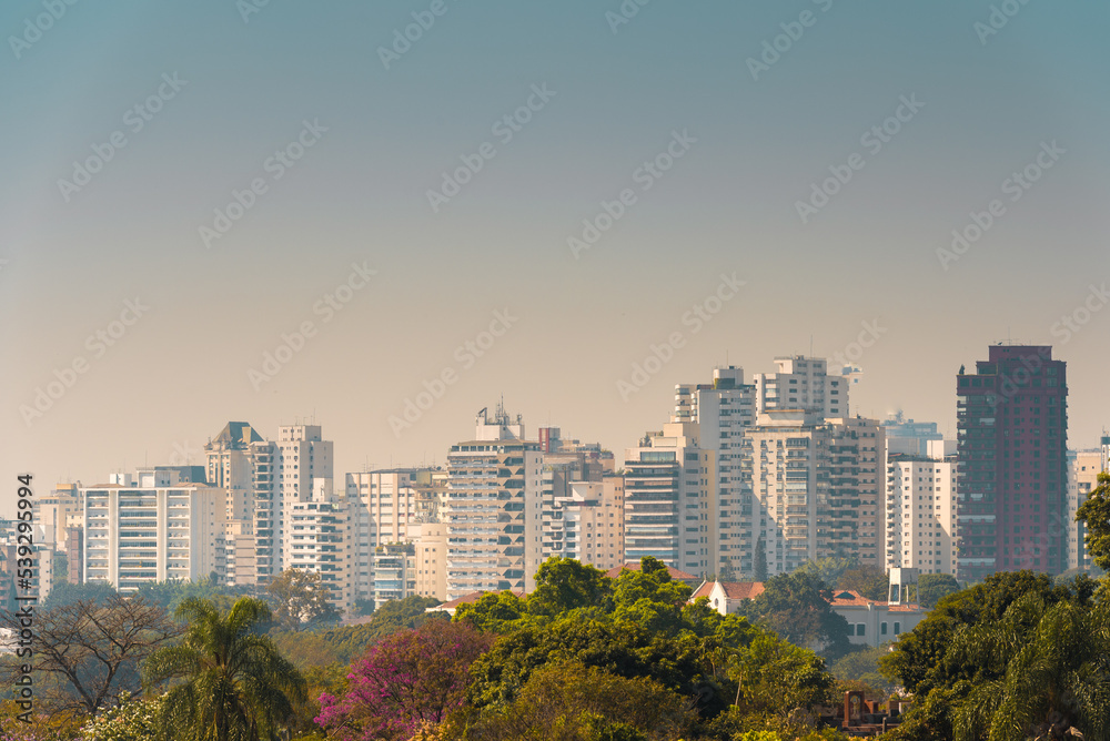 Obraz premium Sao Paulo Building Skyline View From the Park