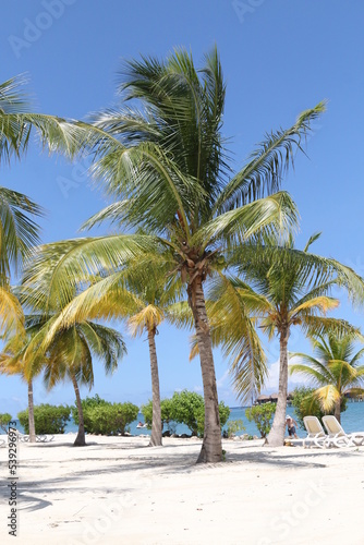 Jamaican Beach