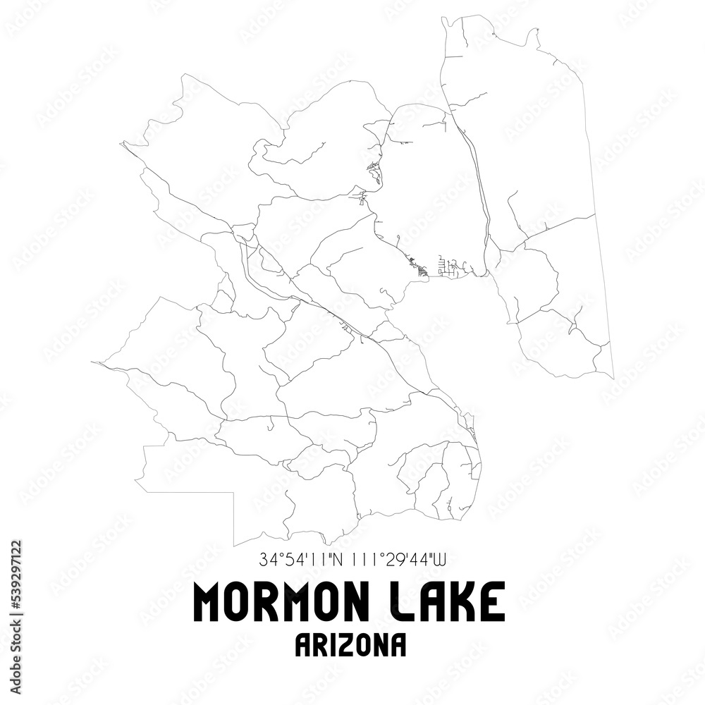 Mormon Lake Arizona. US street map with black and white lines. Mormon Lake Arizona. US street map with black and white lines.