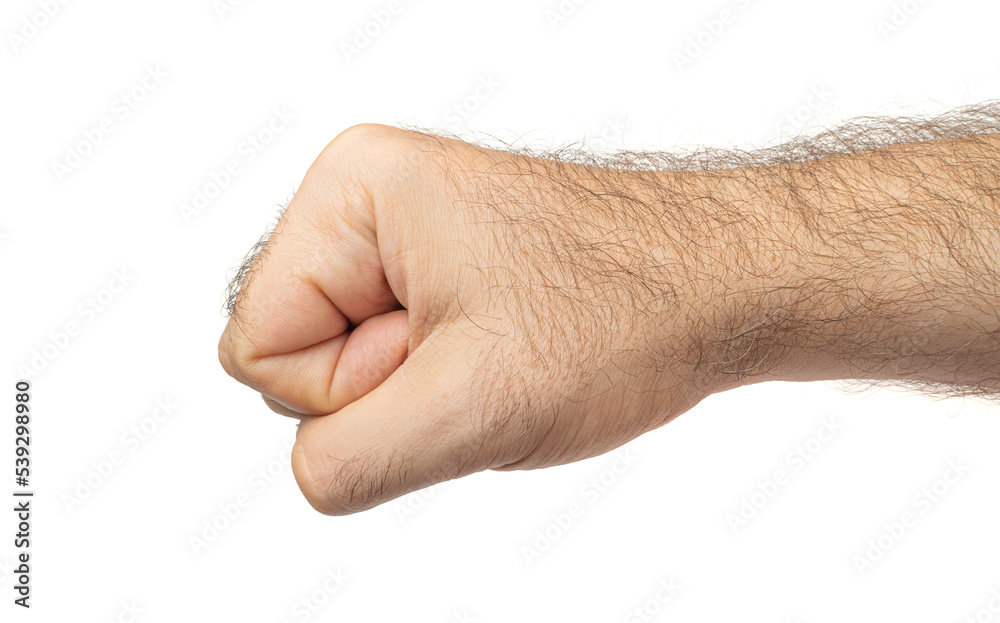 Fototapeta premium Hairy Men Fist Isolated, Hand Cut Out, Man Fist on White Background